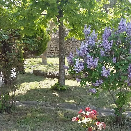 Sebs House *